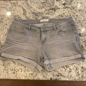 Torrid Shorts